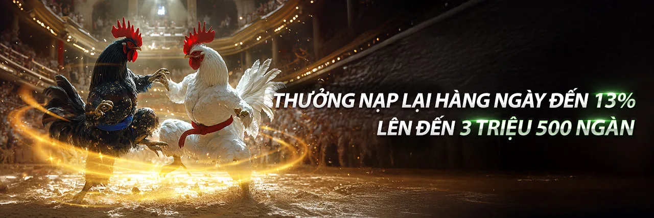 Đá Gà Thomo68 Chính Thức 2026